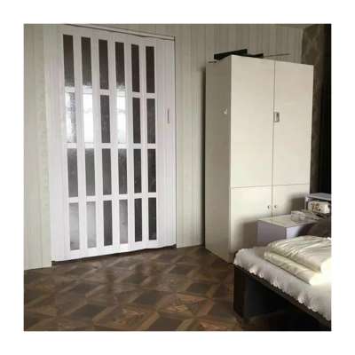 Good Performance Customized PVC Plastic and Aluminum Folding Door for Beauty Salon